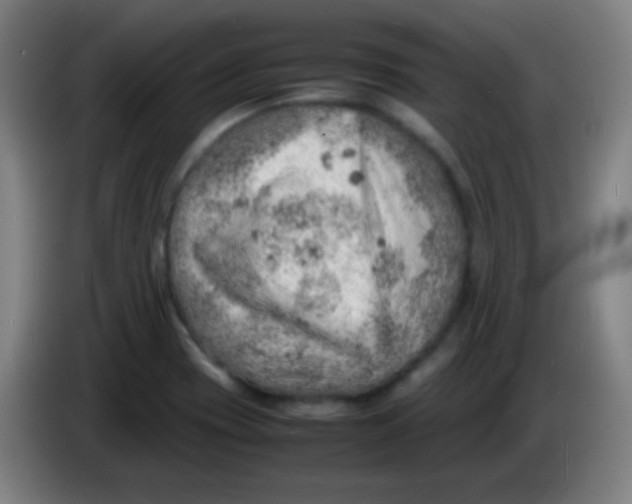 X0000085291417200703301928