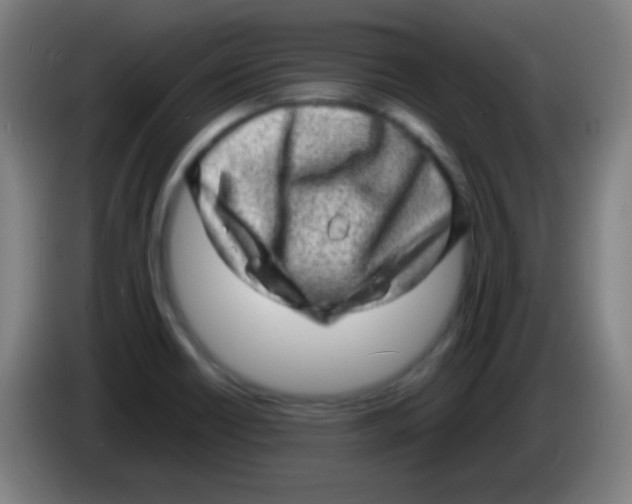 X0000085291418200703301928