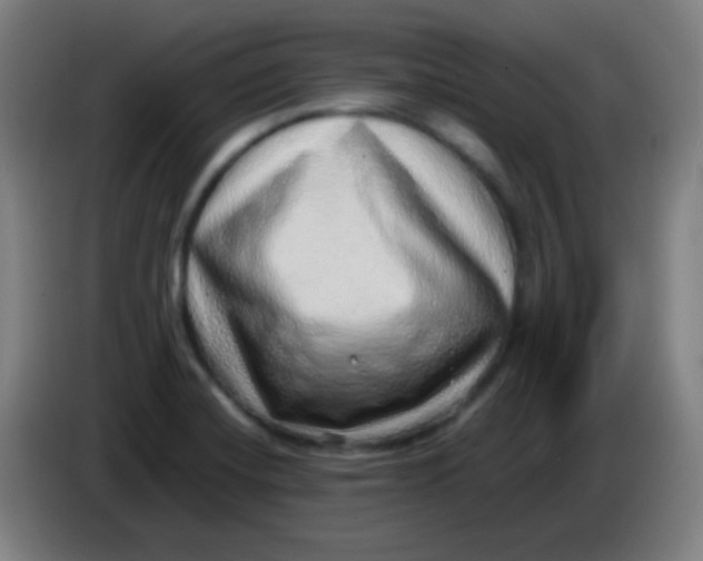 X0000085291420200703301928