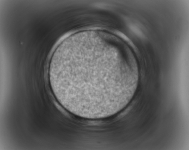 X0000085291421200703301928