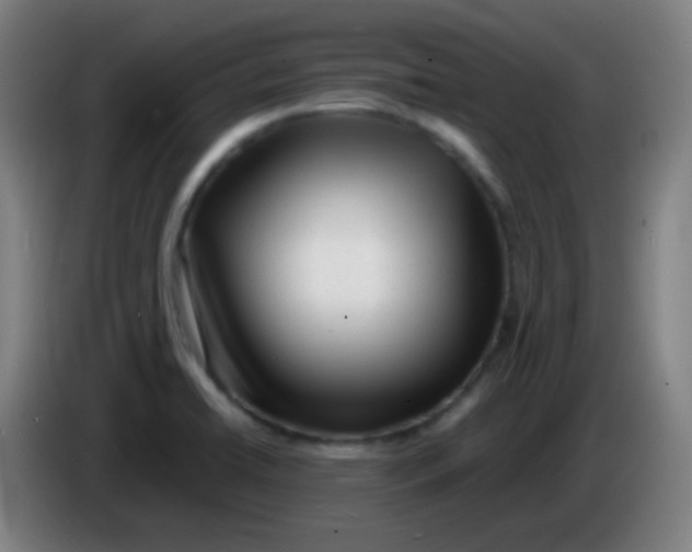 X0000085291422200703301928