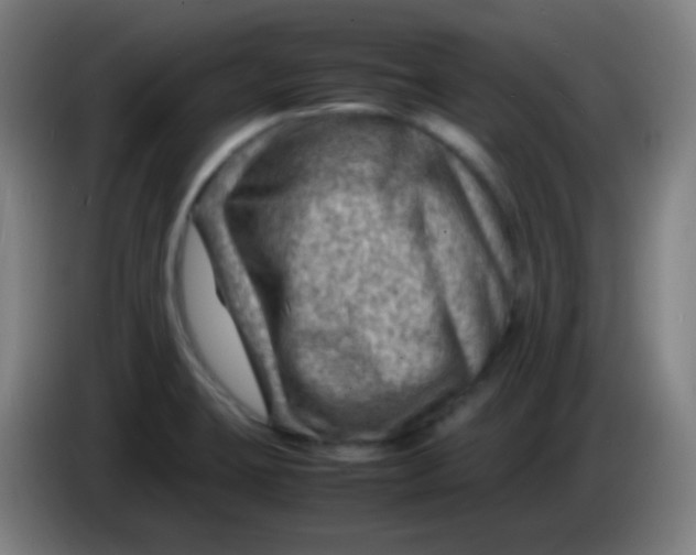 X0000085291423200703301928