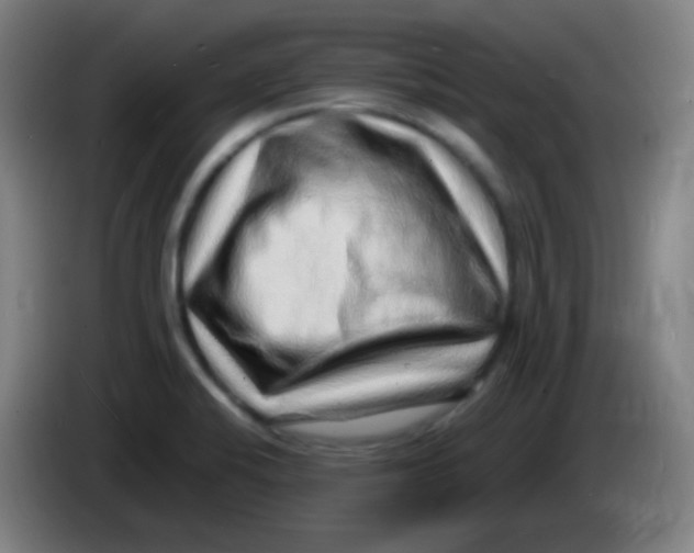 X0000085291424200703301928