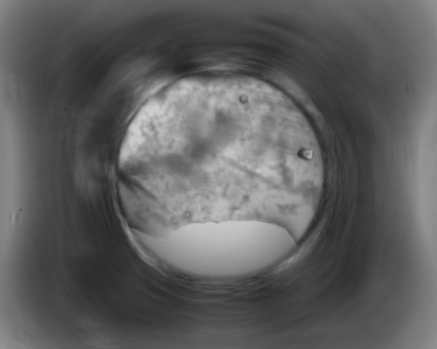 X0000085291425200703301928