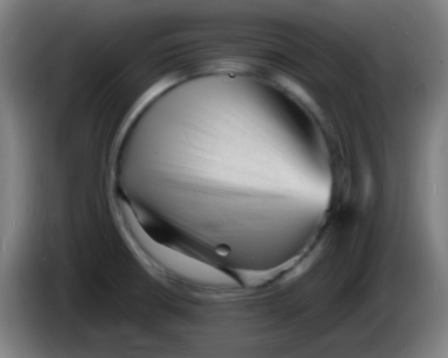 X0000085291426200703301928