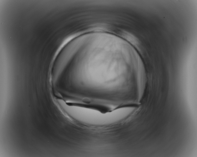 X0000085291428200703301928