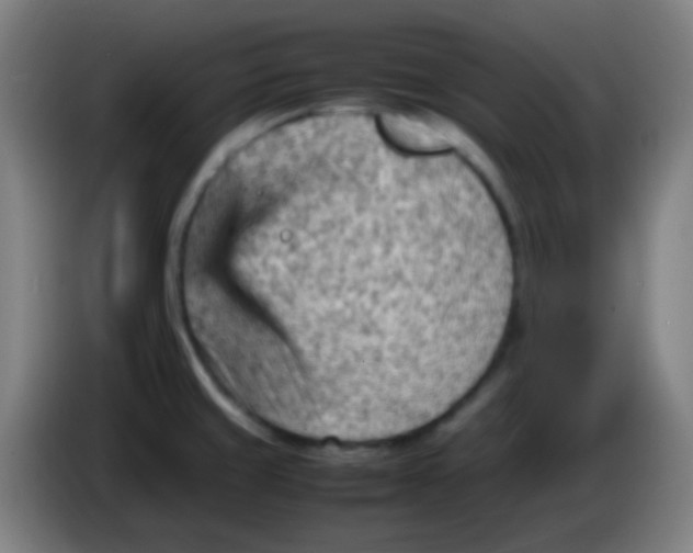 X0000085291429200703301928