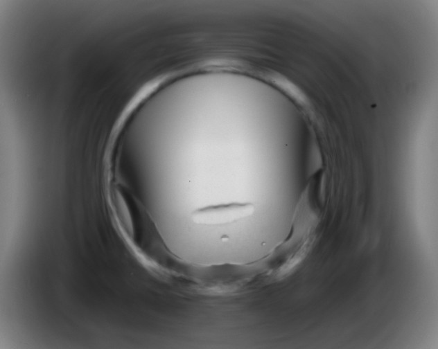 X0000085291430200703301928