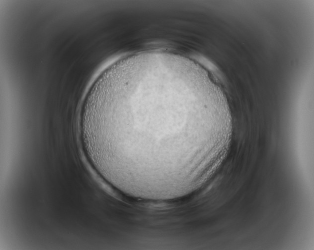 X0000085291431200703301928
