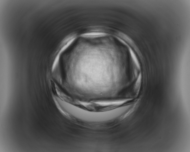 X0000085291433200703301928