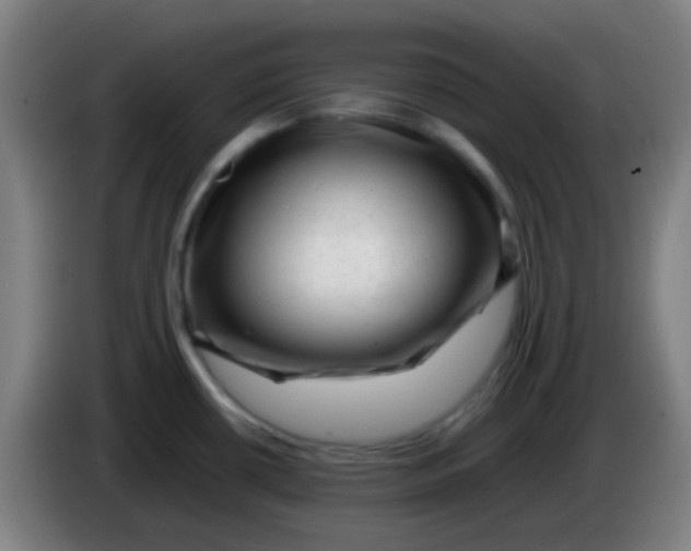 X0000085291434200703301928