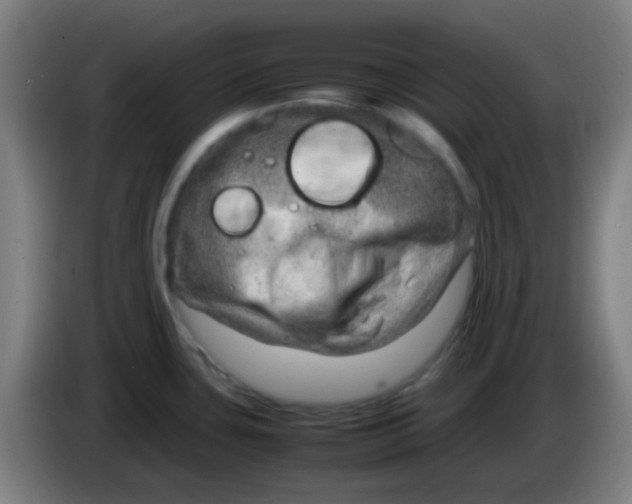 X0000085291435200703301928
