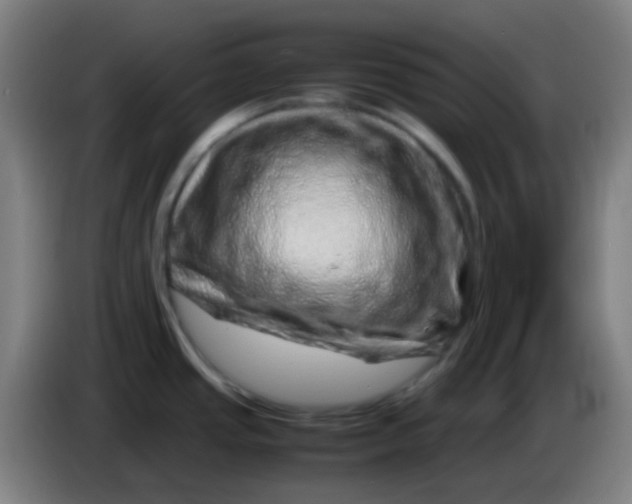 X0000085291437200703301928