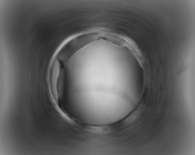 X0000085291438200703301928