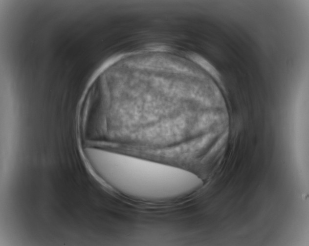 X0000085291439200703301928