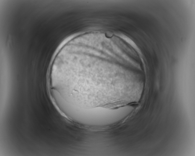 X0000085291440200703301928