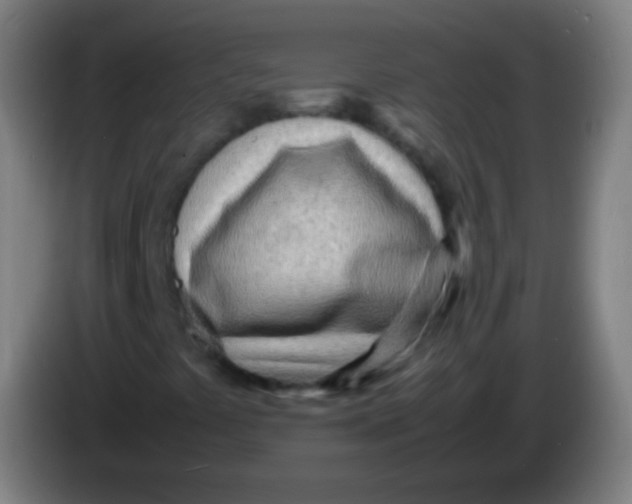 X0000085291441200703301927