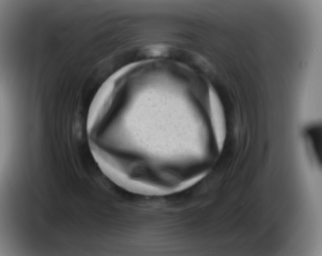 X0000085291442200703301927