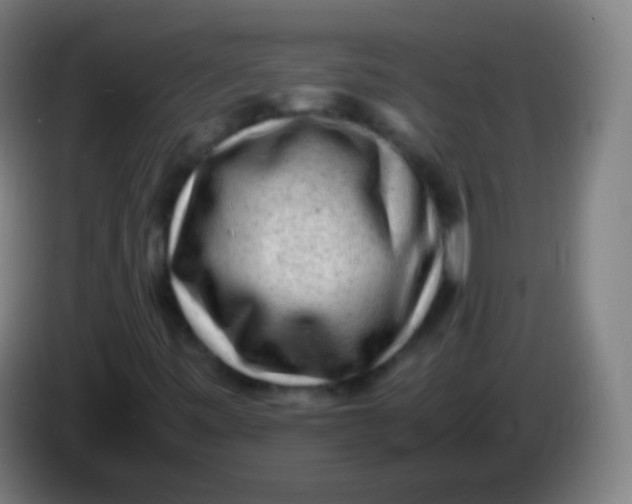 X0000085291443200703301927