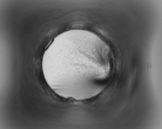 X0000085291445200703301927