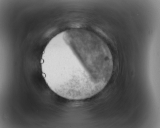 X0000085291446200703301927