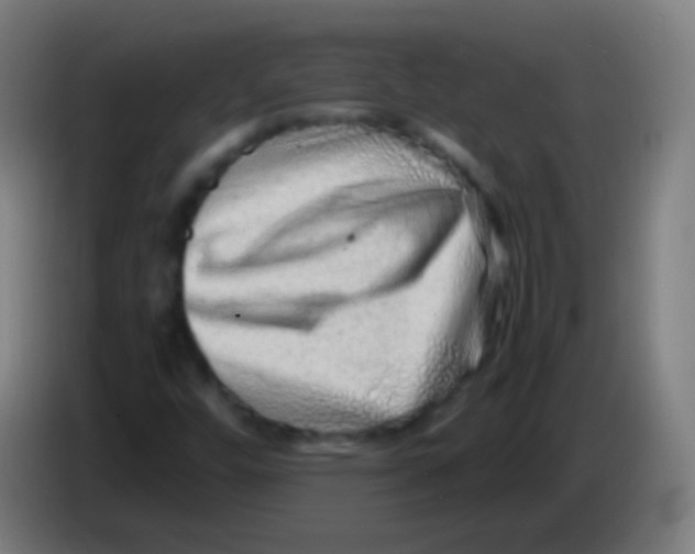 X0000085291448200703301927