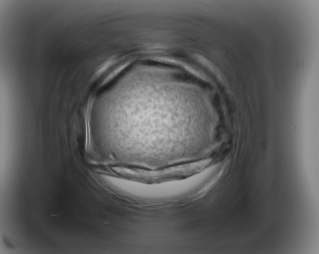X0000085291449200703301927