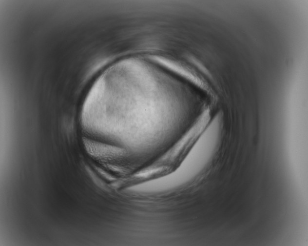 X0000085291452200703301927