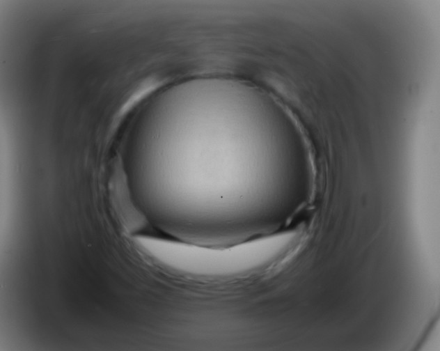 X0000085291453200703301927