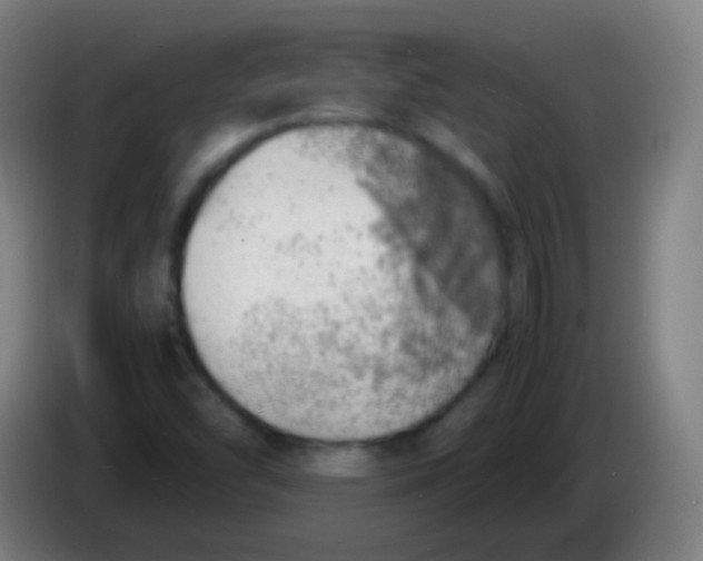 X0000085291454200703301927