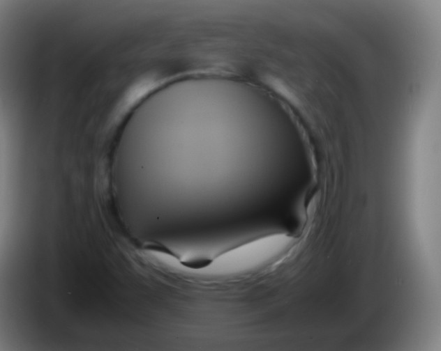 X0000085291455200703301927