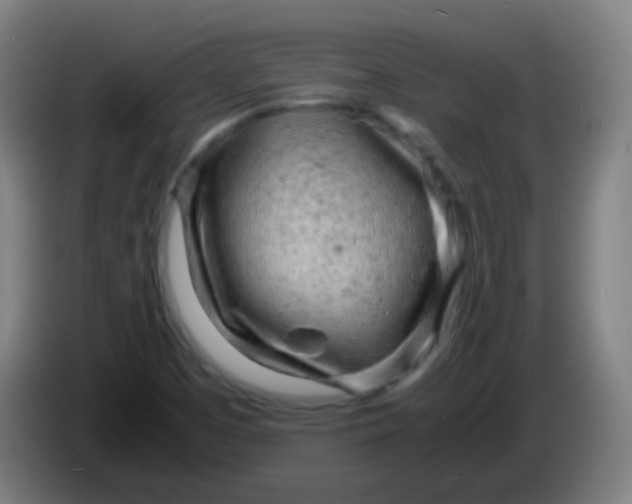 X0000085291457200703301927