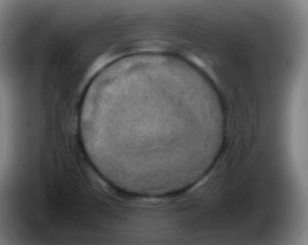 X0000085291459200703301927