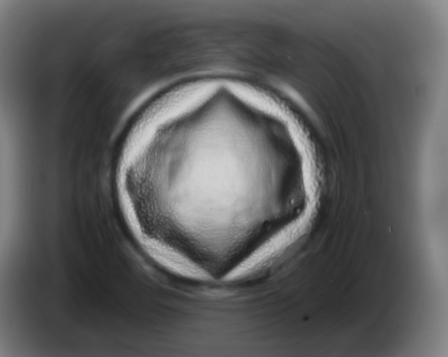 X0000085291460200703301927