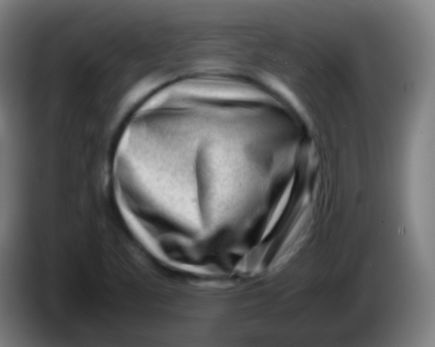 X0000085291461200703301927