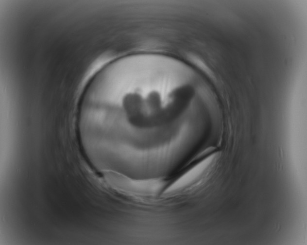 X0000085291463200703301927