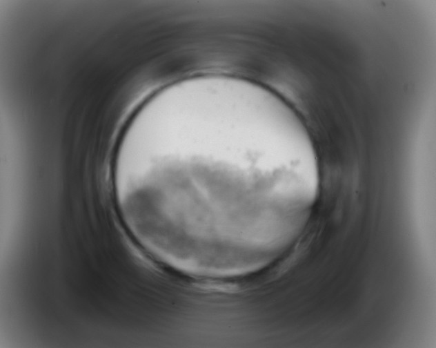 X0000085291466200703301927