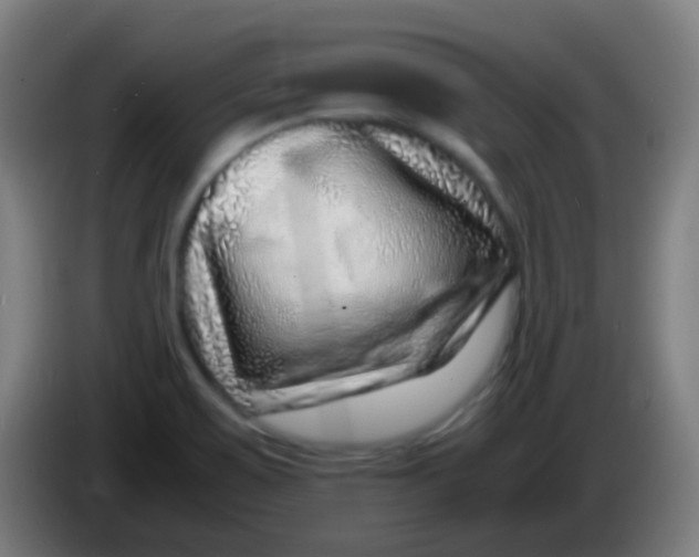 X0000085291467200703301927