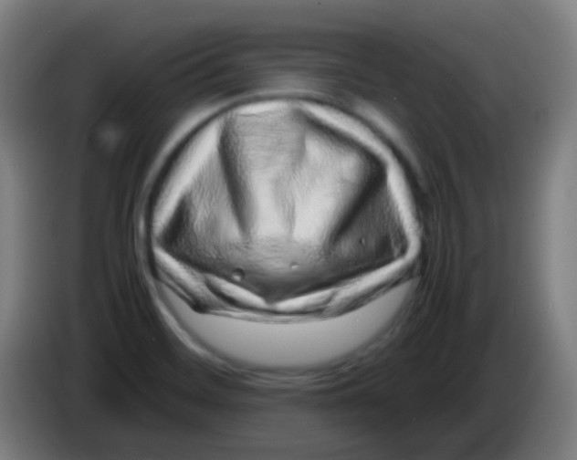 X0000085291468200703301927