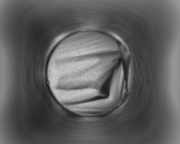 X0000085291469200703301927