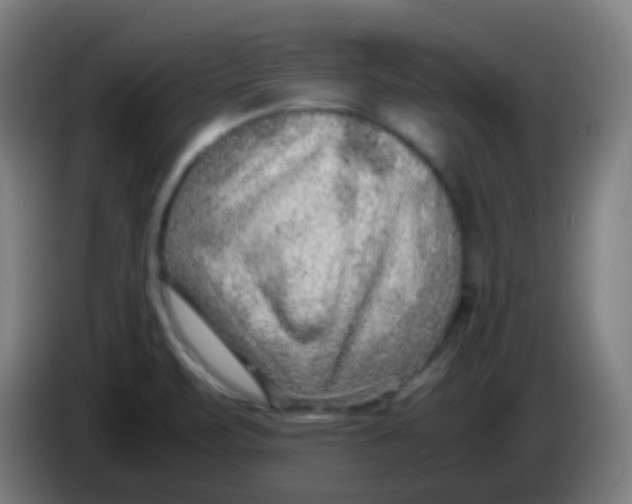 X0000085291471200703301927