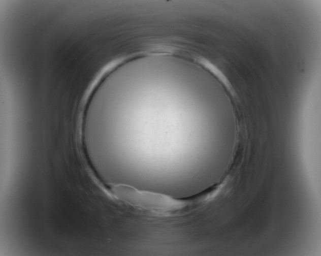 X0000085291477200703301927