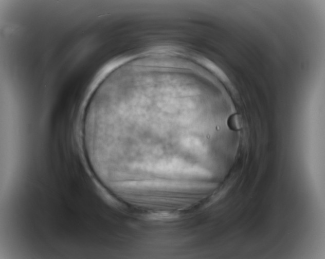X0000085291478200703301927