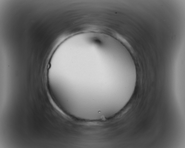 X0000085291479200703301927