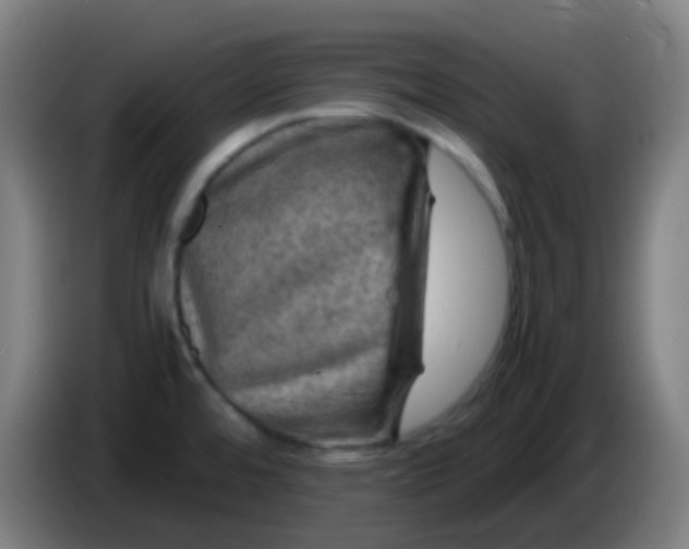 X0000085291480200703301927