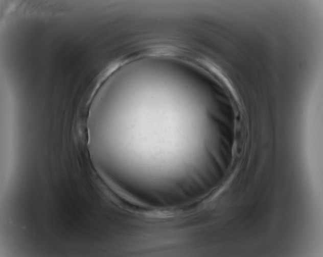 X0000085291481200703301927