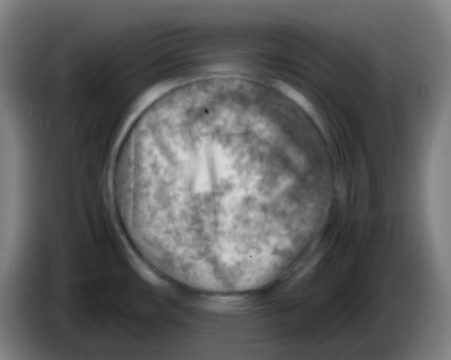 X0000085291482200703301927