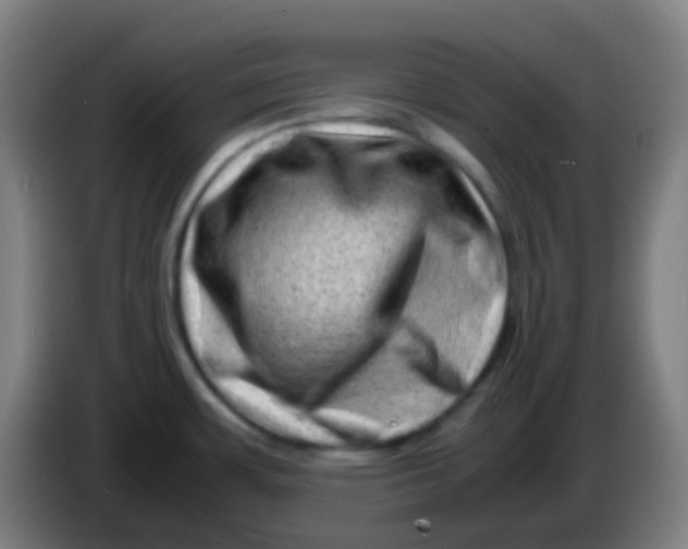 X0000085291483200703301927