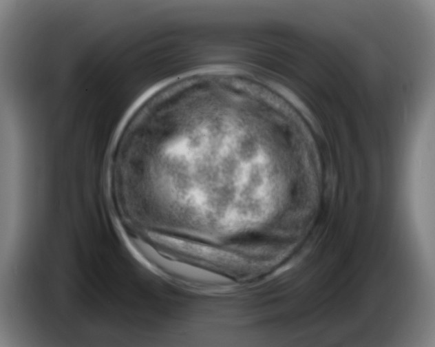 X0000085291484200703301927