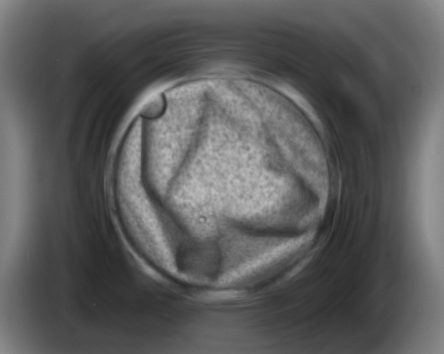 X0000085291486200703301927